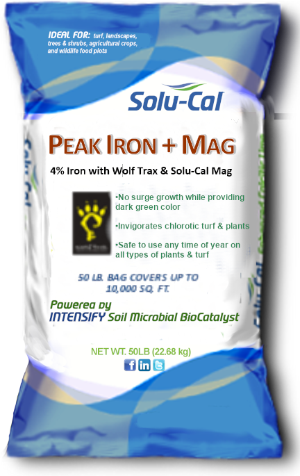 PEAK Iron bag